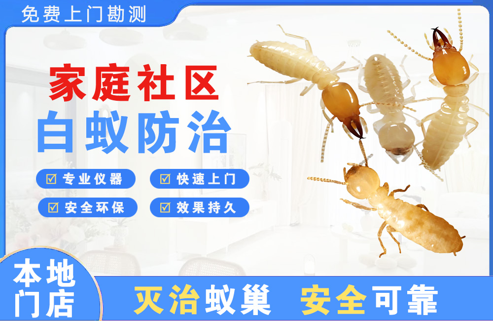 垫江家庭社区白蚁防治