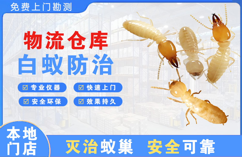 垫江物流仓库白蚁防治