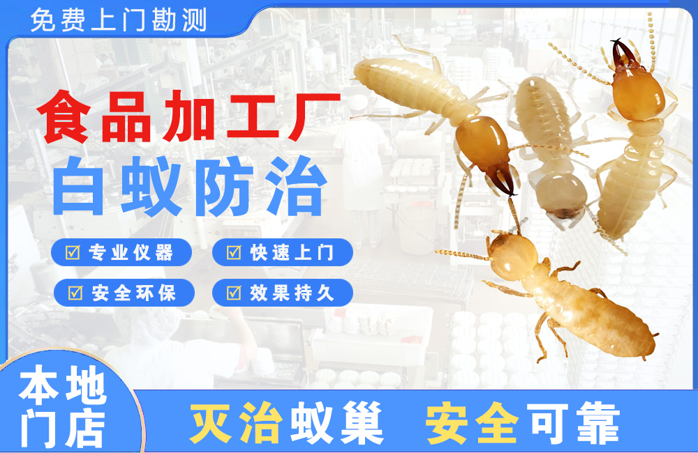 垫江食品加工厂白蚁防治