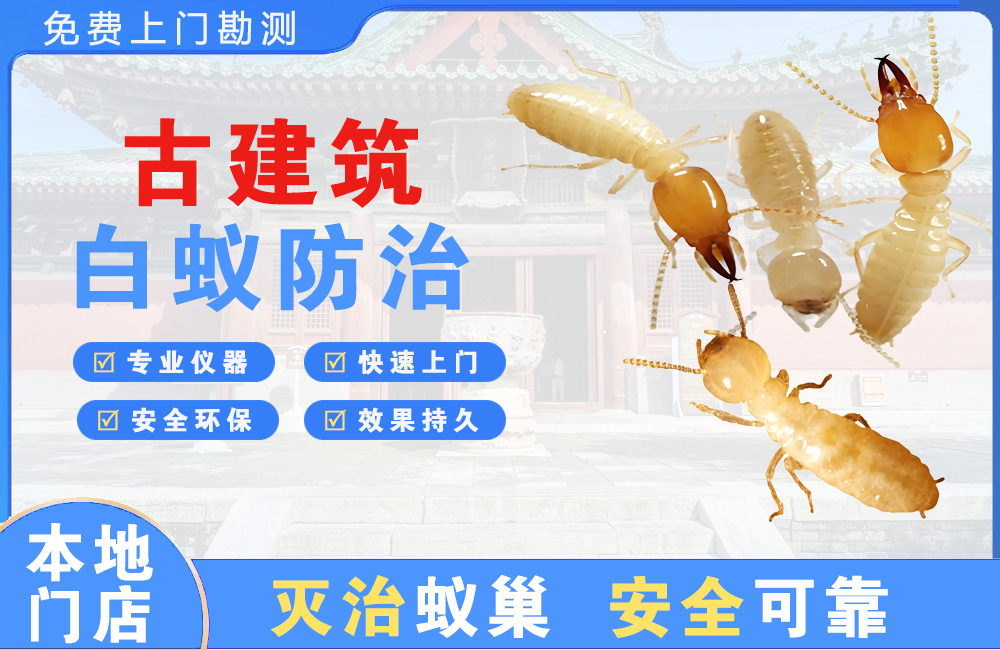 垫江古建筑白蚁防治