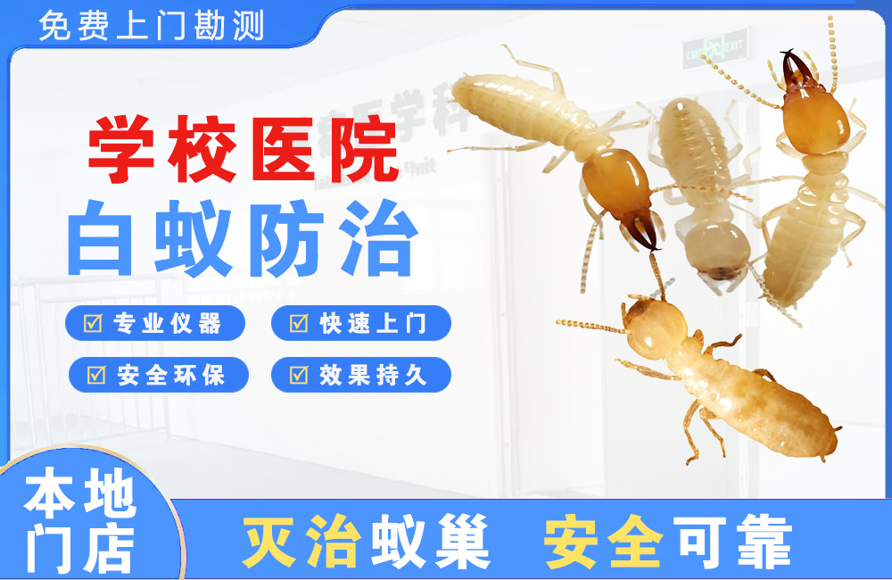 垫江学校医院白蚁防治