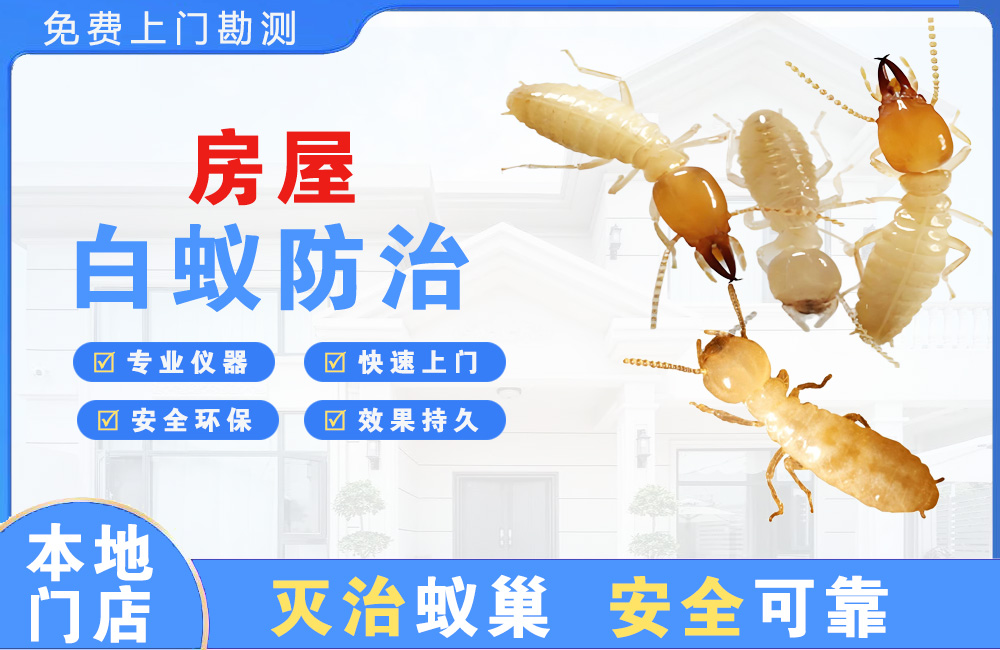 垫江房屋白蚁防治