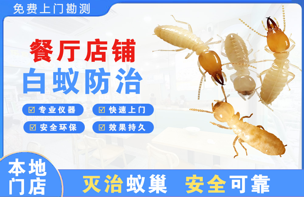 垫江餐厅店铺白蚁防治